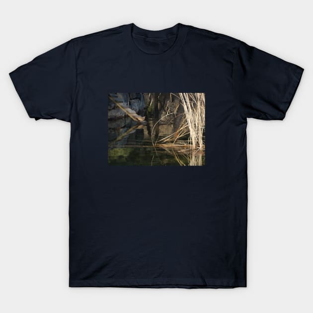 Reflections T-Shirt by ALifeSavored